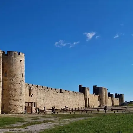 Charme Et Modernité En Camargue Hébergement de vacances *